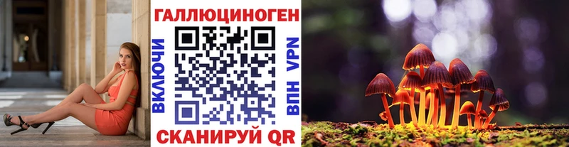 Галлюциногенные грибы GOLDEN TEACHER  блэк спрут вход  Кораблино 